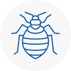 Bed Bug Extermination In Catterick