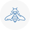 Bee Nest Removal Catterick