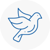 Bird Prevention Catterick