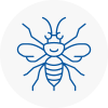 Catterick Hornet Nest Removals