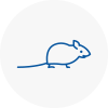 Mice Exterminators In Catterick