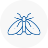 Moth Control Specialists In Catterick