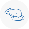 Rat Control Catterick