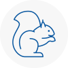 Catterick Rodent Removals